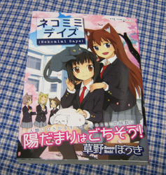 nekomimidays_100130.jpg