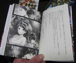 oboro_02_100128.jpg