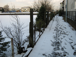 snow_100202_1.jpg